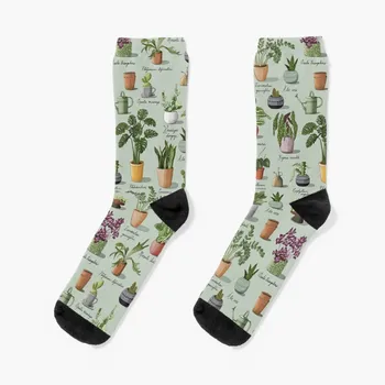Носки с рисунком суккулентов и комнатных растений, женские носки, высокие мужские зимние носки, спортивные носки, женские носки