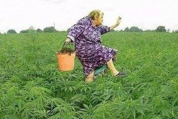 Кракен площадка торговая что это