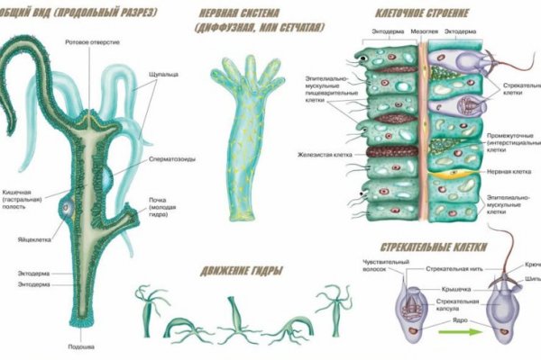 Кракен сайт 1kraken me официальный